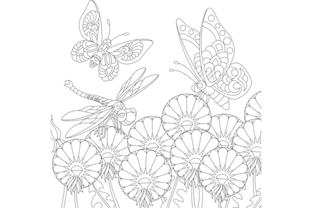 Printable coloring pages: Flying-animals19 – 10 Doigts
