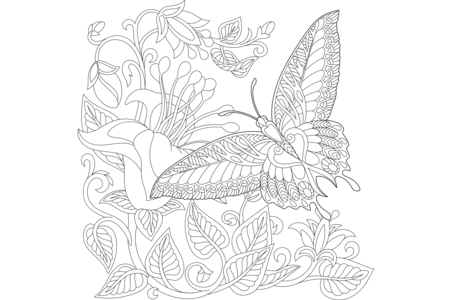 Printable coloring pages: Flying animals20 – 10 Doigts