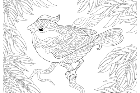 Printable coloring pages: Flying animals21 – 10 Doigts