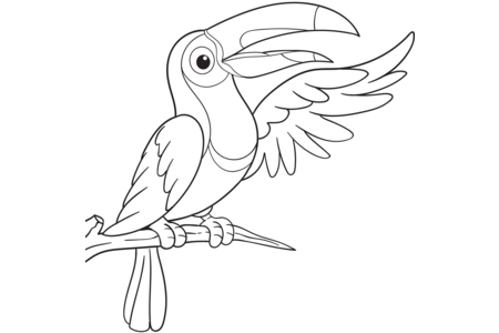 Printable coloring pages: Flying animals24 – 10 Doigts