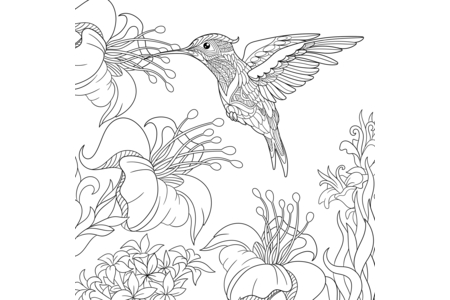Printable coloring pages: Flying animals 4 – 10 Doigts