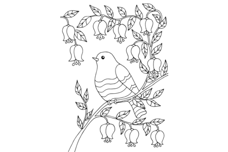Printable coloring pages: Flying animals9 – 10 Doigts