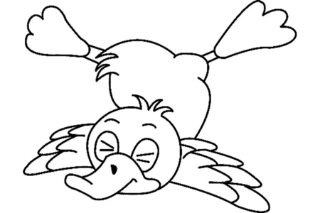 Printable coloring pages: Duck 08 – 10 Doigts