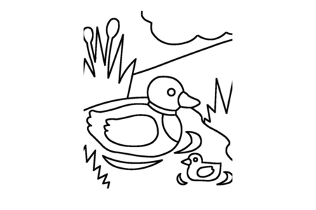 Printable coloring pages: Duck 23 – 10 Doigts