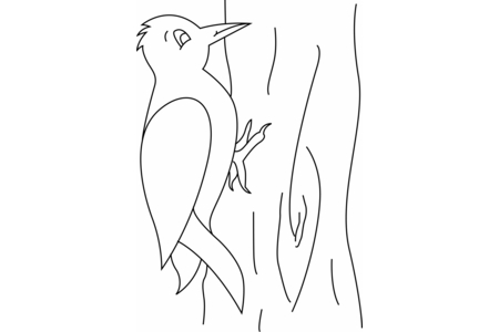 Printable coloring pages: Bird 12 – 10 Doigts