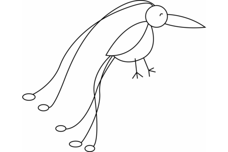 Printable coloring pages: Bird 25 – 10 Doigts