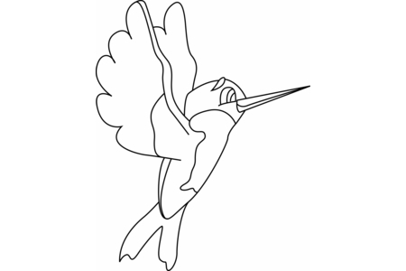 Printable coloring pages: Bird 33 – 10 Doigts