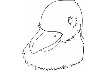 Printable coloring pages: Bird 34 – 10 Doigts