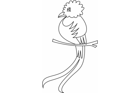 Printable coloring pages: Bird 36 – 10 Doigts