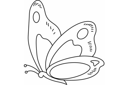 Printable coloring pages: Butterfly 13 – 10 Doigts