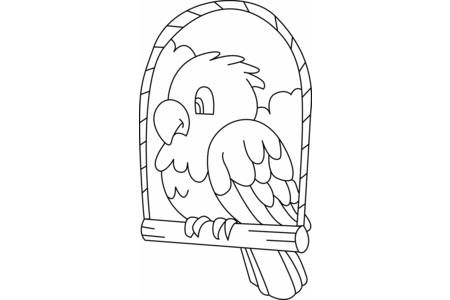 Printable coloring pages: Budgie 03 – 10 Doigts