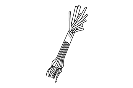 Printable coloring pages: Leek 01 – 10 Doigts