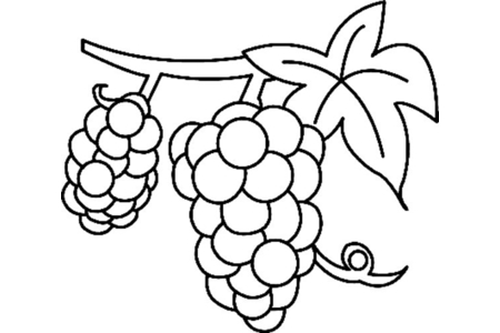Printable coloring pages: Grape 01 – 10 Doigts