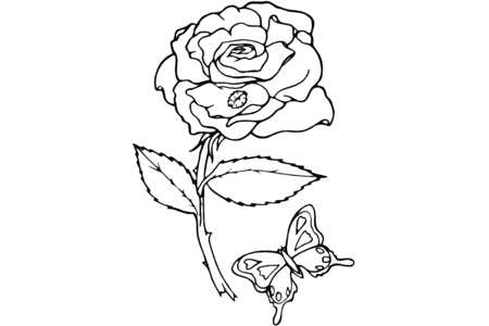 Printable coloring pages: Pink 06 – 10 Doigts