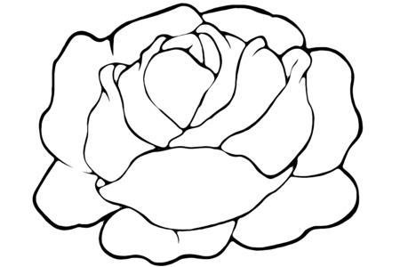 Printable coloring pages: Salad 01 – 10 Doigts