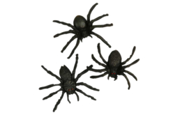 10 araignées noires - 4 cm - Accessoires créatifs Halloween - 10doigts.fr