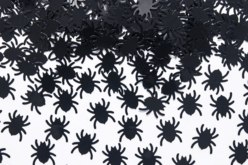 araignée halloween - Accessoires créatifs Halloween - 10doigts.fr