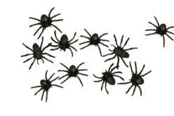 arañas negras 4 cm - Accesorios creativos Halloween - 10doigts.fr