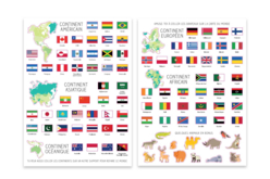 carte du monde + gommettes  - Kits éducatifs : le plaisir d'apprendre par la manipulation - 10doigts.fr - 2