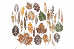 feuilles mortes au posca blanc - Marqueurs POSCA : la référence mondiale de la peinture nomade - 10doigts.fr - 2