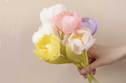 Pastel Crepe Paper - 8 Rolls - 2 - Crepe paper flowers - 10doigts.com - Crepe paper flowers - 10doigts.fr