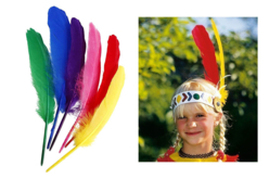 grandes plumes indiennes - Plumes décoratives - 10doigts.fr - 2