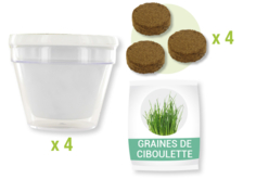Kit Jardinero: macetas de cebollino - 4 unidads - Jardinería niños – 10doigts.fr - 2