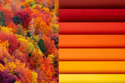 papiers d'automne - Papiers Grands Formats - 10doigts.fr