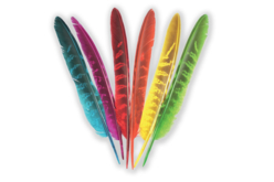 Plumes 6 couleurs 18 à 19,5 cm x 24 pcs - Plumes décoratives - 10doigts.fr