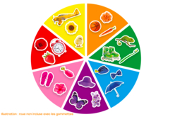 Stickers I Learn Colors - 700 pcs - 2 - Realistic Stickers - 10doigts.com - Realistic Stickers - 10doigts.fr