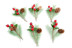 Set de 6 branches de sapin, 6 branches de houx et 6 pommes de pin - Déco Noël Nature - 10doigts.fr