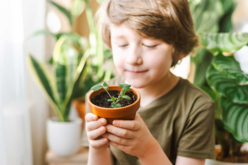 Set "Horticulteur" - 6 pots + terreau compressé - Jardinage enfants - 10doigts.fr - 2
