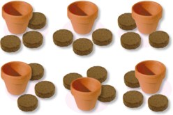 Horticulturist Set - 6 Pots + Potting Soil - 5 - Gardening for Kids - 10doigts.com - Jardinage enfants - 10doigts.fr