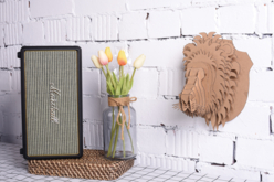 Trophée Lion - Décors en carton - 10doigts.fr - 2
