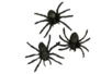 10 arañas negras - 4 cm - Accesorios creativos Halloween – 10doigts.fr