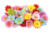 Fabric Flowers - 50 pcs - 4 - Decorative Flowers and Leaves - 10doigts.com - Decorative Flowers and Leaves – 10doigts.fr
