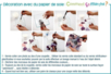 Cuencos cuadrados curvados en vidrio - 12 pcs - Soportes de Vidrio – 10doigts.fr