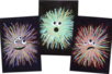 White and Colored Chalk - 24 Pieces - 3 - Chalks, Boards, Slates - 10doigts.com - Chalks, Boards, Slates – 10doigts.fr