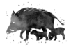 Extra Black China Ink - 250 ml - 4 - Liquid Inks - 10doigts.com - Liquid Inks – 10doigts.fr