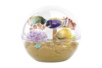 acuático actividad niños peces exóticos - Actividades manuales océano: sumérgete en un universo creativo y sensorial – 10doigts.fr