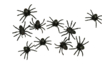 arañas negras 4 cm - Accesorios creativos Halloween – 10doigts.fr