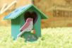 árbol de pájaros - Deco de madera pintada – 10doigts.fr