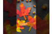 Autumn Leaves with Ink - 2 - Autumn Crafts - 10doigts.com - Autumn Crafts – 10doigts.fr