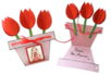 Wooden Craft Sticks - 7 - Wooden Accessories - 10doigts.com - Wooden Accessories – 10doigts.fr