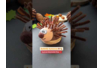 Raymond the Hedgehog - 2 - Animal Crafts: Our Creative Ideas for Children - 10doigts.com - Animal Crafts: Our Creative Ideas for Children – 10doigts.fr