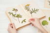 Flower and Leaf Press - 2 - Animal and Nature Kits - 10doigts.com - Kits de naturaleza y fauna: construye tu mini selva en casa. – 10doigts.fr
