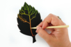 Scratch Art Leaves - 6 pieces - 4 - Creative Autumn Kits - 10doigts.com - Creative Autumn Kits – 10doigts.fr