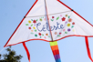 cerf volant à décorer - A Creative Year: 365 Creative Activities to Do – 10doigts.fr