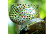 Relief Outline - Gold - 6 - Glass and Ceramics Paint - 10doigts.com - Glass and Ceramics Paint – 10doigts.fr