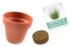 kit de cebollino en maceta para niños - Jardinería niños – 10doigts.fr